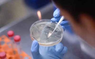 Un año después de su aparición, la OMS investigará en China el origen del coronavirus